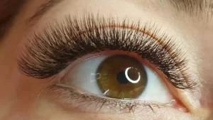 Corso Avanzato Extension Ciglia Volume 3D, 4D, 5D ed Effetto Wet Corso Avanzato Extension Ciglia Volume 3D, 4D, 5D ed Effetto Wet